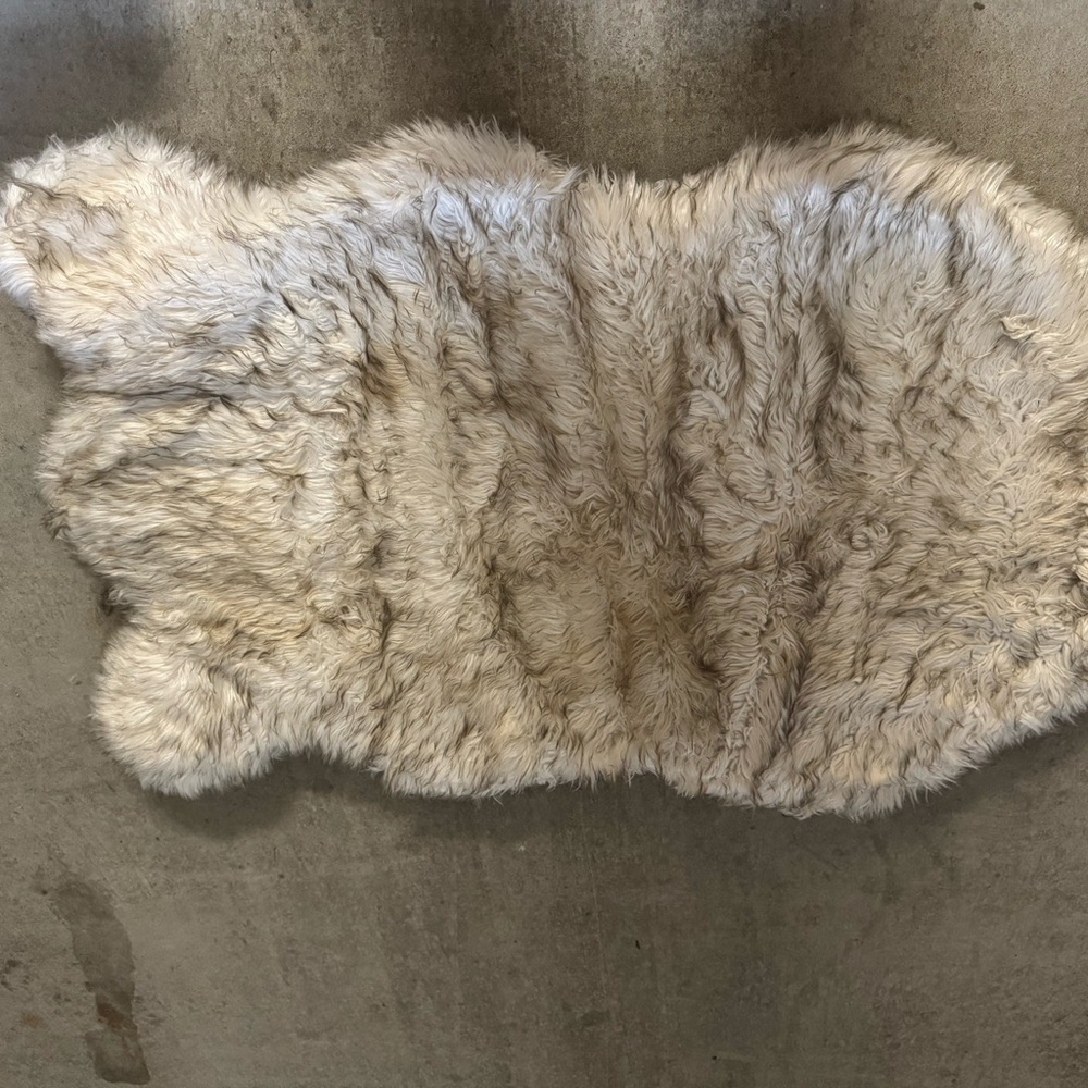 Orthopedic dog bed. Great condition
